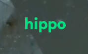 动物域名hippo.com被曝易主，卖家曾交易过诸多好米！ 第2张